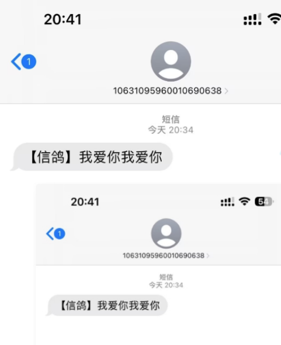 匿名短信项目【网站源码+网站搭建视频教程】冷门月入过万的项目