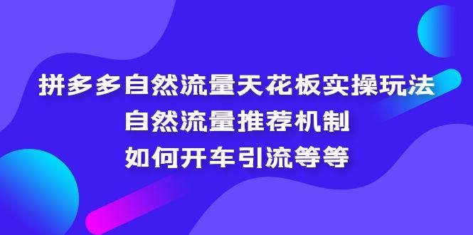 拼多多自然流量实操教程：自然流量推荐机制，如何开车引流等等