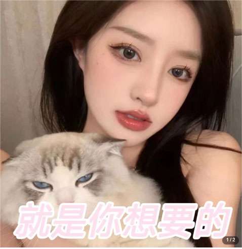 微信交友变现项目【吸引精准男粉】小白也能轻松上手，日入500+