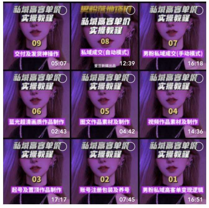 男粉变现项目：男粉高客单价实操教程教你0基础玩转男粉短视频转私域日产500