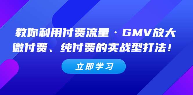 网络付费推广教学课程，利用付费流量·GMV放大，微付费、纯付费的实战型打法！