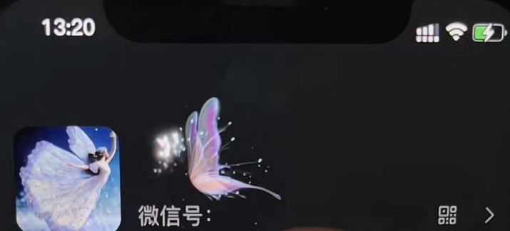 微信动态昵称设置方法教程，可抖音直播引流，日赚上百【详细视频教程+素材】