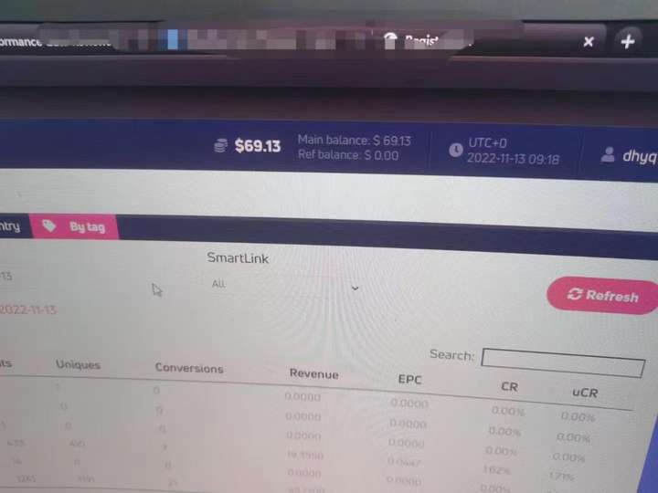 最新国外搬砖项目，教你lead广告联盟项目怎么做，单号一天至少30美金(详细教程)