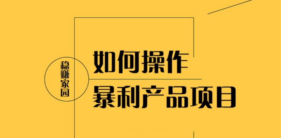 暴利项目：搭建运营单品单页暴利网站，月挣数万【视频课程】