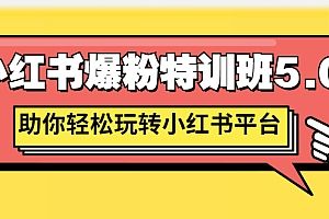 小红书爆粉特训课程：助你轻松玩转小红书平台价值1380