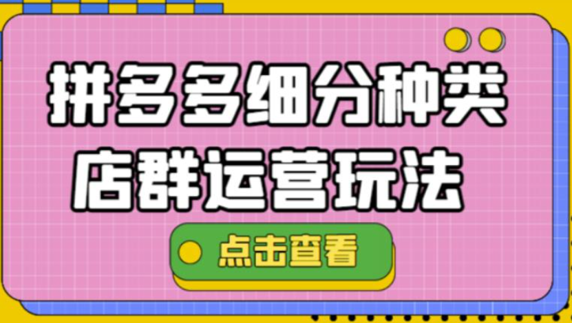 拼多多细分种类店群运营方案模式教程：最新玩法小白也可以操作