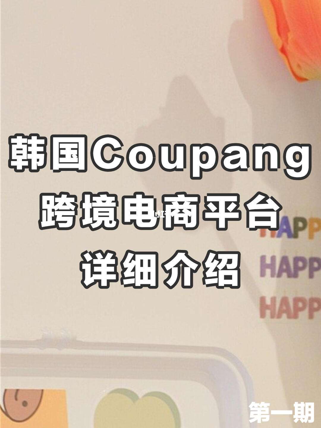 韩国酷胖Coupang无货源电商：单店一天利润500+完爆国内一切平台