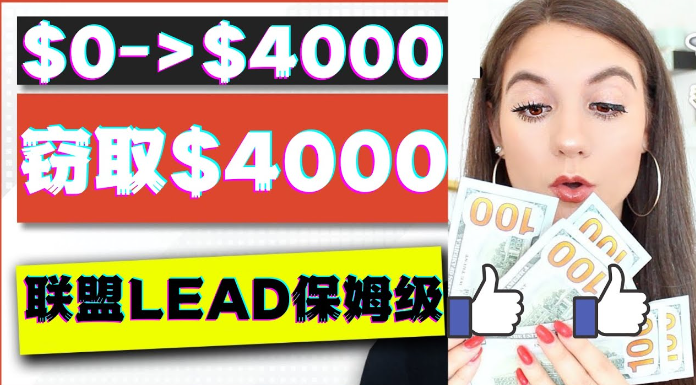 最新国外联盟项目实操保姆级教程：月入万+，适合初学者！