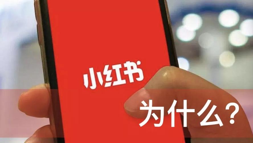 小红书穿透式营销收割攻略，引爆流量，助你玩转小红书