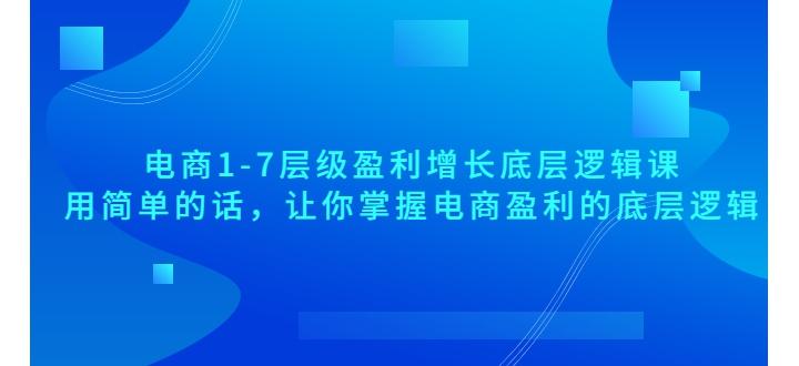 电商盈利增长底层逻辑课：用简单的话，让你掌握电商盈利的底层逻辑
