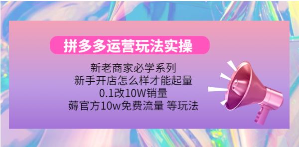 拼多多运营培训课程：拼多多实战讲解全程演示【视频教程】