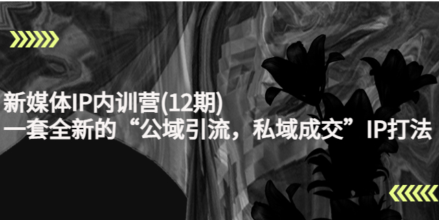 新媒体ip打造运营：一套全新的“公域引流，私域成交”IP课程