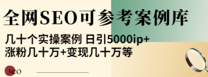 优秀网站SEO实操案例, 日引5000ip+涨粉百W+变现几十W