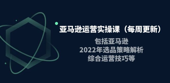 亚马逊运营实操课：亚马逊最新选品策略解析，综合运营技巧等
