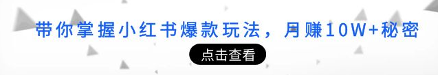 小红书涨粉变现课程：教你掌握小红书爆款玩法，月赚5W+