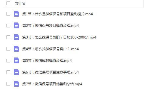 微信保号项目：0成本月入过万实战课程