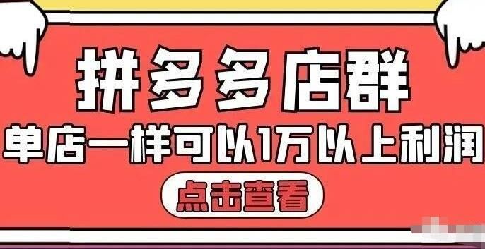 拼多多店群玩法：单店产出高达x万利润