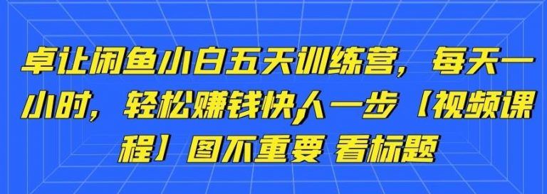 卓让闲鱼课程：小白五天训练营，每天一小时，轻松zhuan钱快人一步【视频教程】