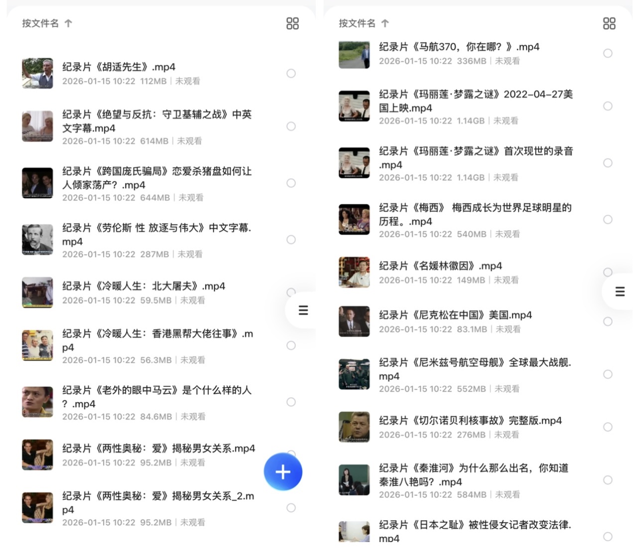 稀有纪录片资源：下架F禁纪录片88部合集 + 1080P分辨率 + 中英字幕