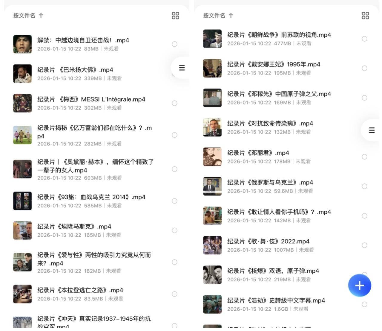 稀有纪录片资源：下架F禁纪录片88部合集 + 1080P分辨率 + 中英字幕