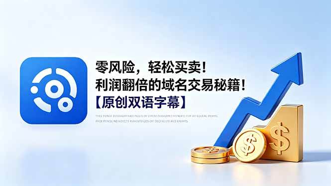 零风险,轻松买卖!利润翻倍的域名交易秘籍!【原创双语字幕】