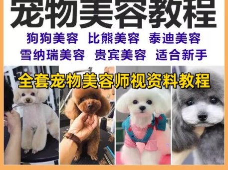 宠物美容教程-全套狗狗修剪修毛造型洗澡护理宠物师培训教学视频课程【电商热销997】