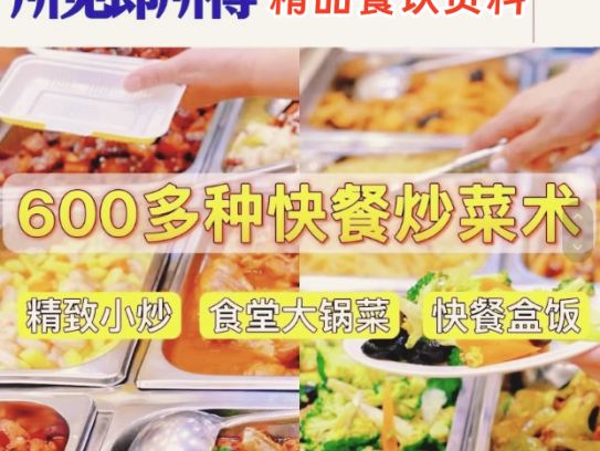 600多种快餐炒菜技术资料教程-商用小炒快餐盒饭大锅菜技术配方炒菜教学视频外卖盖浇饭食堂【电商热销534】