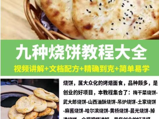 9种烧饼技术教程-烧饼技术配方教程大全梅干菜武大郎吊炉掉渣饼制作小吃摆摊创业【电商热销665】