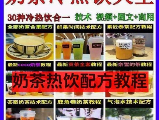 奶茶热饮配方资料教程大全-奶茶冷热饮品鲜榨果汁果蔬汁气泡水甜品贡茶制作商用技术配方教程【电商热销669】