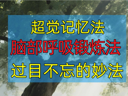 超觉记忆法-过目不忘修炼记忆力脑部呼吸锻炼法改造大脑健身气功养生训练方法【电商热销741】
