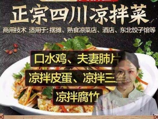 正宗四川凉拌菜教程资料-凉菜调料配方凉拌菜秘制商用小吃卤菜技术商用视频教程【电商热销627】