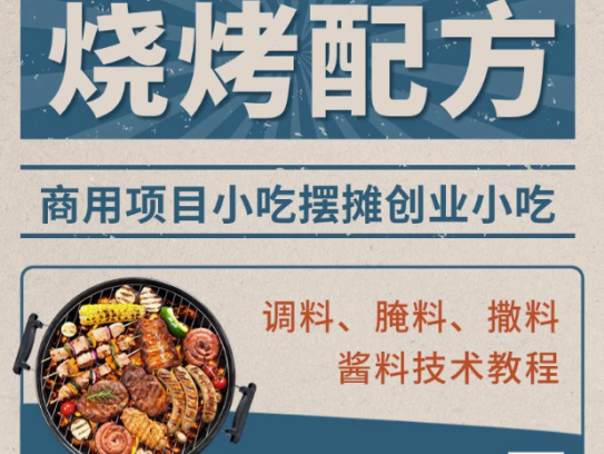 烧烤技术配方视频教程商用新手自学腌酱料撒料淄博摆摊小吃电子版【电商热销581】