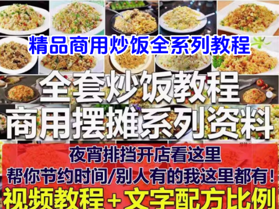全套炒饭视频资料教程-商用摆摊花式炒饭视频教程 泡菜蛋炒饭海鲜盖饭制作 【电商热销452】