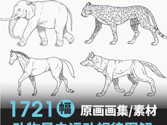 1721幅原画画集素材【动物昆虫运动规律图解】-动物昆虫图解素材合集 CG 动画 原画动作表演参考素材【电商热销67】