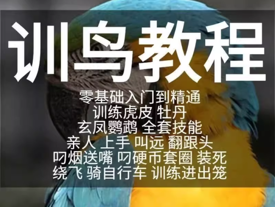 训鸟全套教程-鹦鹉虎皮杜丹玄凤训练教程上手训练鹦鹉说话【电商热销2】