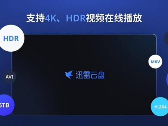 迅雷云盘TV版apk下载，支持原画播放与在线字幕匹配