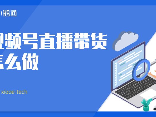 视频号直播带货教程：无需囤货新手可做的副业项目