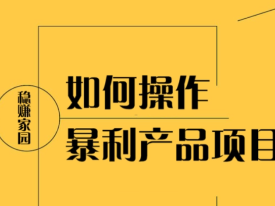 暴利项目：搭建运营单品单页暴利网站，月挣数万【视频课程】