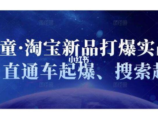 淘宝新品打爆实战课程：直通车起爆、搜索起爆