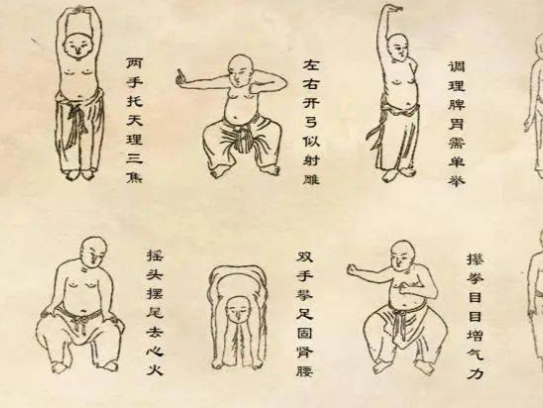 健身养生资源合集[电子书+视频]【八段锦、易筋经、五禽戏、六字诀+太极拳、八卦掌、咏春拳、形意拳等传统武术】电商热销956