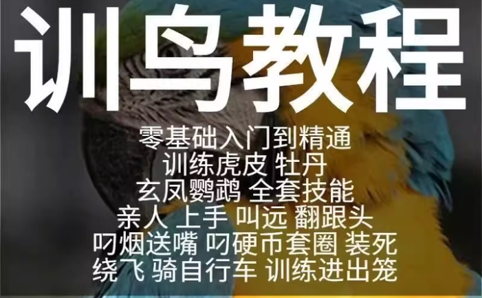 训鸟全套教程-鹦鹉虎皮杜丹玄凤训练教程上手训练鹦鹉说话【电商热销2】