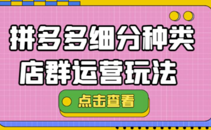 拼多多细分种类店群运营方案模式教程：最新玩法小白也可以操作
