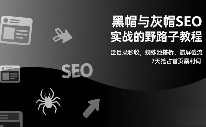 黑帽与灰帽SEO实战的野路子教程：泛目录秒收，蜘蛛池搭桥，霸屏截流，7天抢占首页暴利词