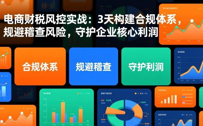 电商财税风控实战：3天构建合规体系，规避稽查风险，守护企业核心利润