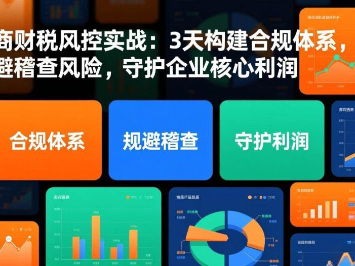 电商财税风控实战：3天构建合规体系，规避稽查风险，守护企业核心利润