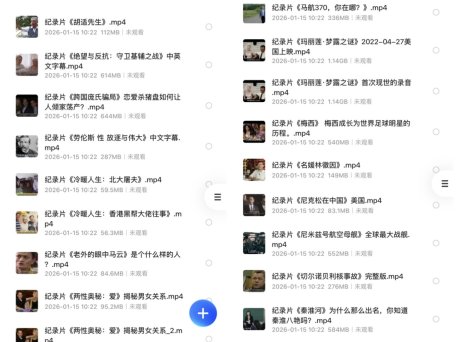 稀有纪录片资源：下架F禁纪录片88部合集 + 1080P分辨率 + 中英字幕