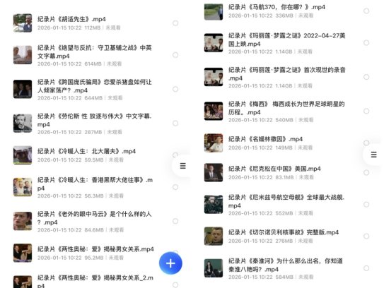 稀有纪录片资源：下架F禁纪录片88部合集 + 1080P分辨率 + 中英字幕