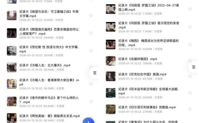 稀有纪录片资源：下架F禁纪录片88部合集 + 1080P分辨率 + 中英字幕