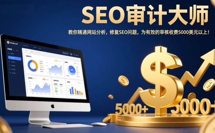 SEO审计大师：教你精通网站分析，修复SEO问题，为有效的审核收费5000美元以上！