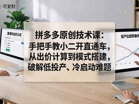 拼多多原创技术课：手把手教小二开直通车，从出价计算到模式搭建，破解低投产、冷启动难题